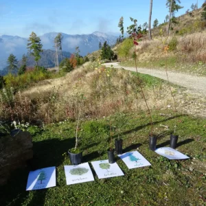 Evento presso il Parco Campo dei fiori, ottobre 2025
