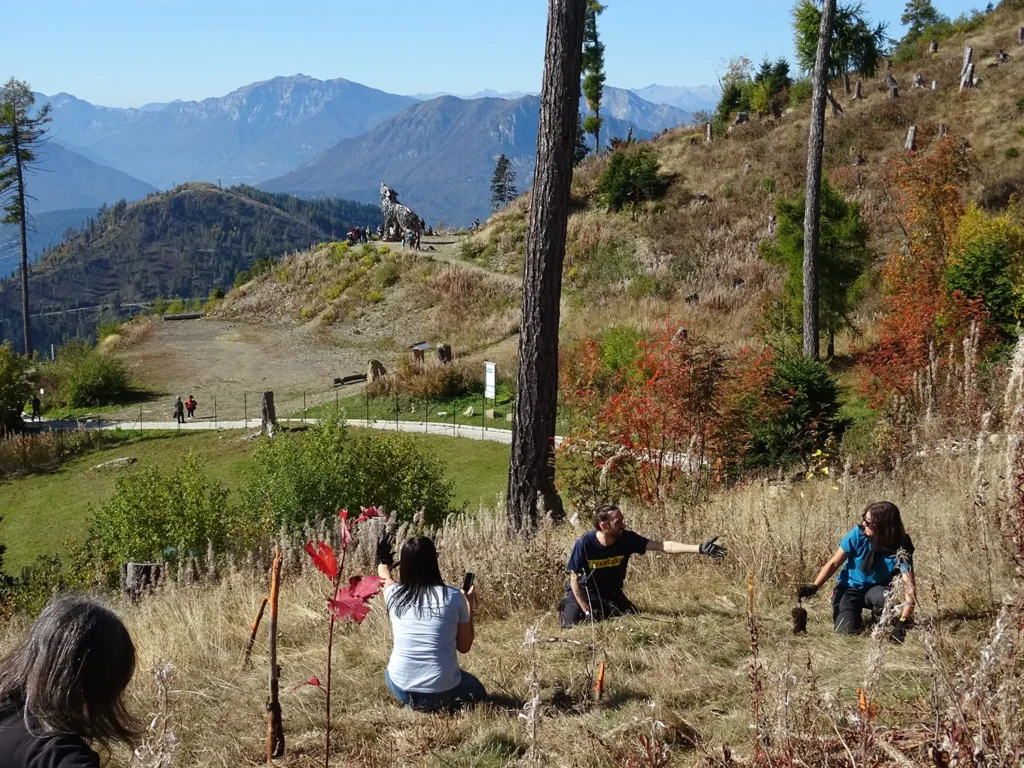 Evento presso il Bosco della Panarotta, ottobre 2025