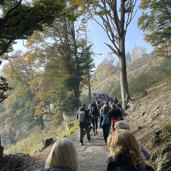 Evento presso il Parco Campo dei fiori, ottobre 2025