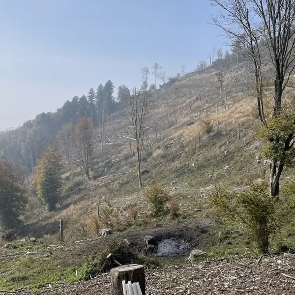 Evento presso il Parco Campo dei fiori, ottobre 2025