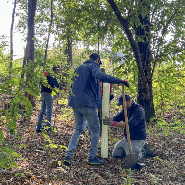 Evento presso il Parco Lombardo del Ticino, ottobre 2025