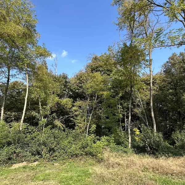 Evento presso il Parco Lombardo del Ticino, ottobre 2025