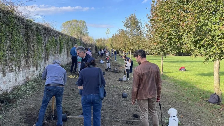 Evento presso il Bosco di Villa Roberti, ottobre 2025