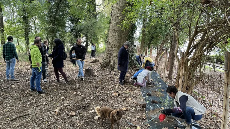 Evento presso il Bosco di Villa Roberti, ottobre 2025