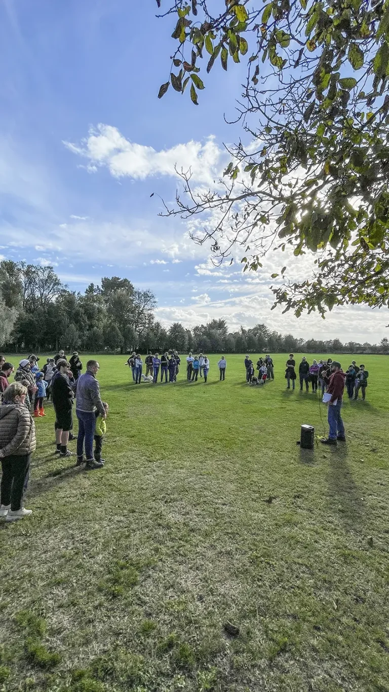 Evento presso il Bosco di Villa Roberti, ottobre 2025