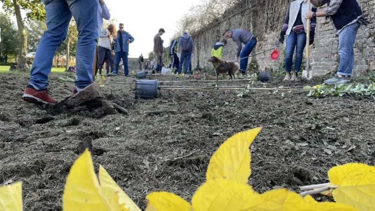 Evento presso il Bosco di Villa Roberti, ottobre 2025