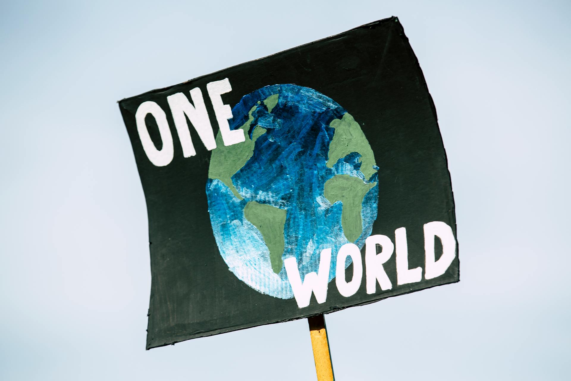 ONE WORLD BANDIERA