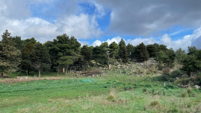 Evento Bosco dei Sette Cieli 21.02.26 – WOWnature-1