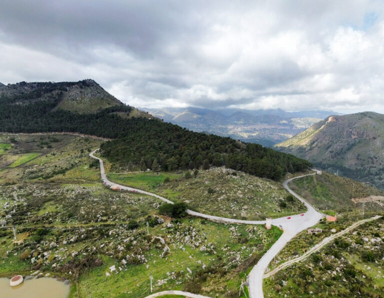 Aggiornamenti da Bosco dei Sette Cieli
