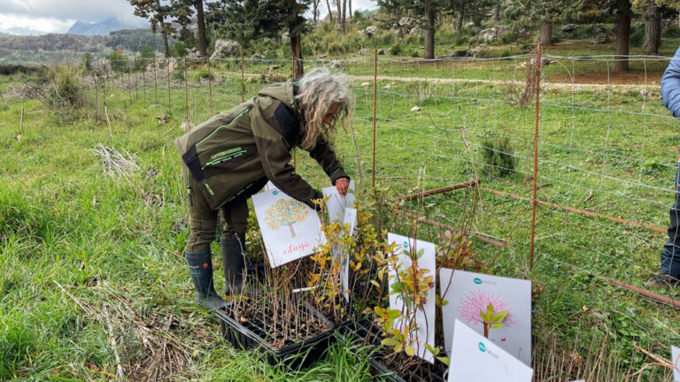 Evento Bosco dei Sette Cieli 21.02.26 – WOWnature-4