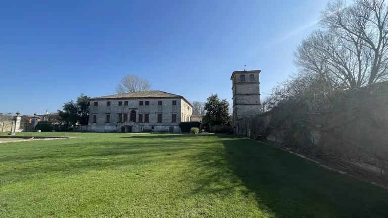 Impianto di alberi a Villa Roberti