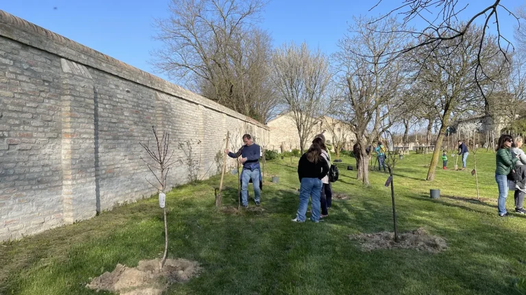 Impianto di alberi a Villa Roberti