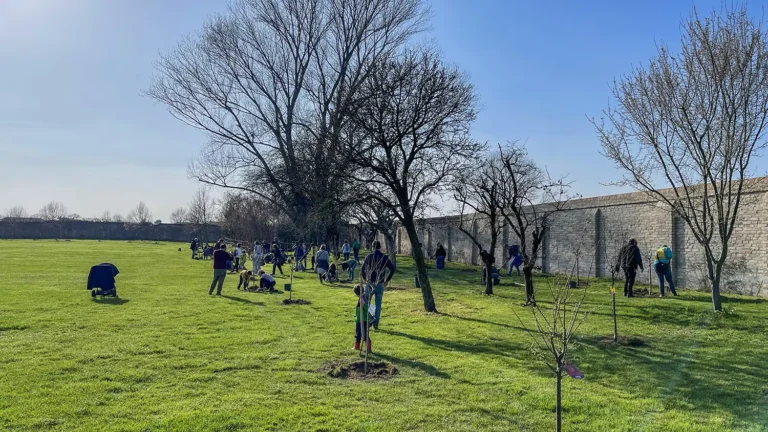 Impianto di alberi a Villa Roberti