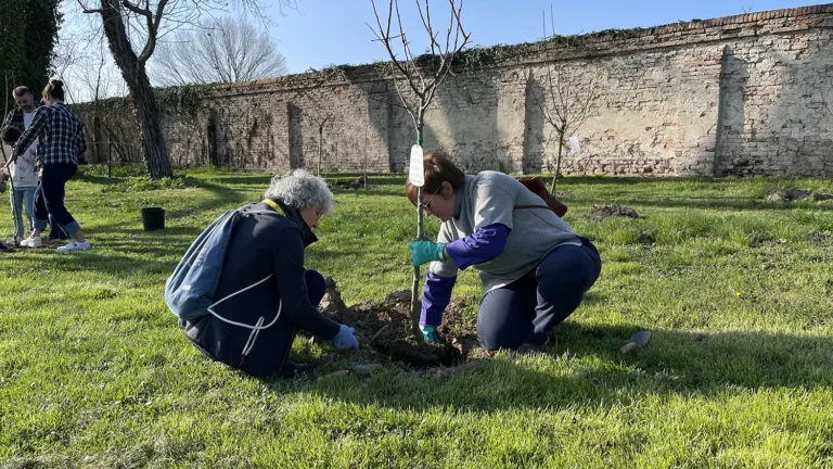 Impianto di alberi a Villa Roberti