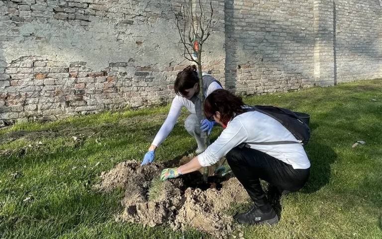 Impianto di alberi a Villa Roberti