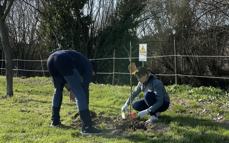 Impianto di alberi a Villa Roberti