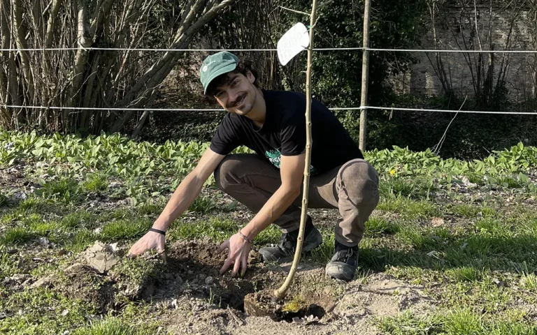 Impianto di alberi a Villa Roberti