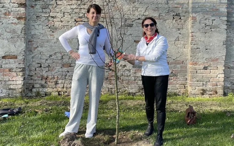 Impianto di alberi a Villa Roberti