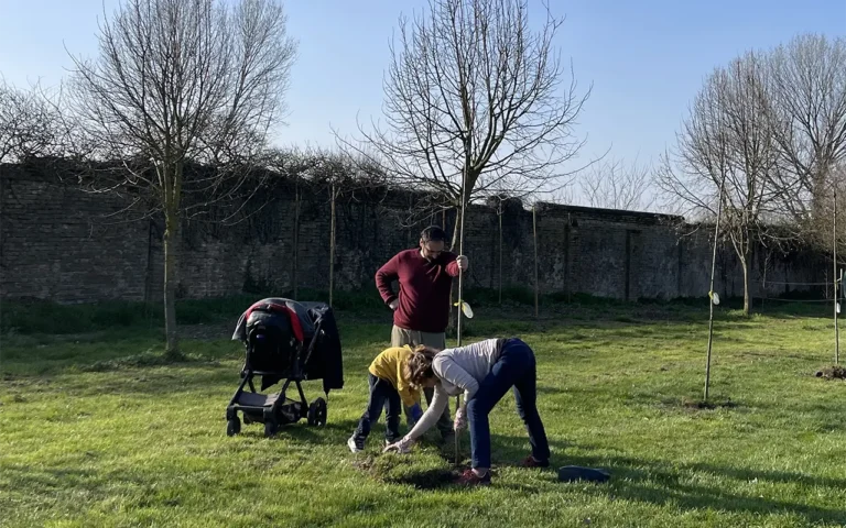 Impianto di alberi a Villa Roberti