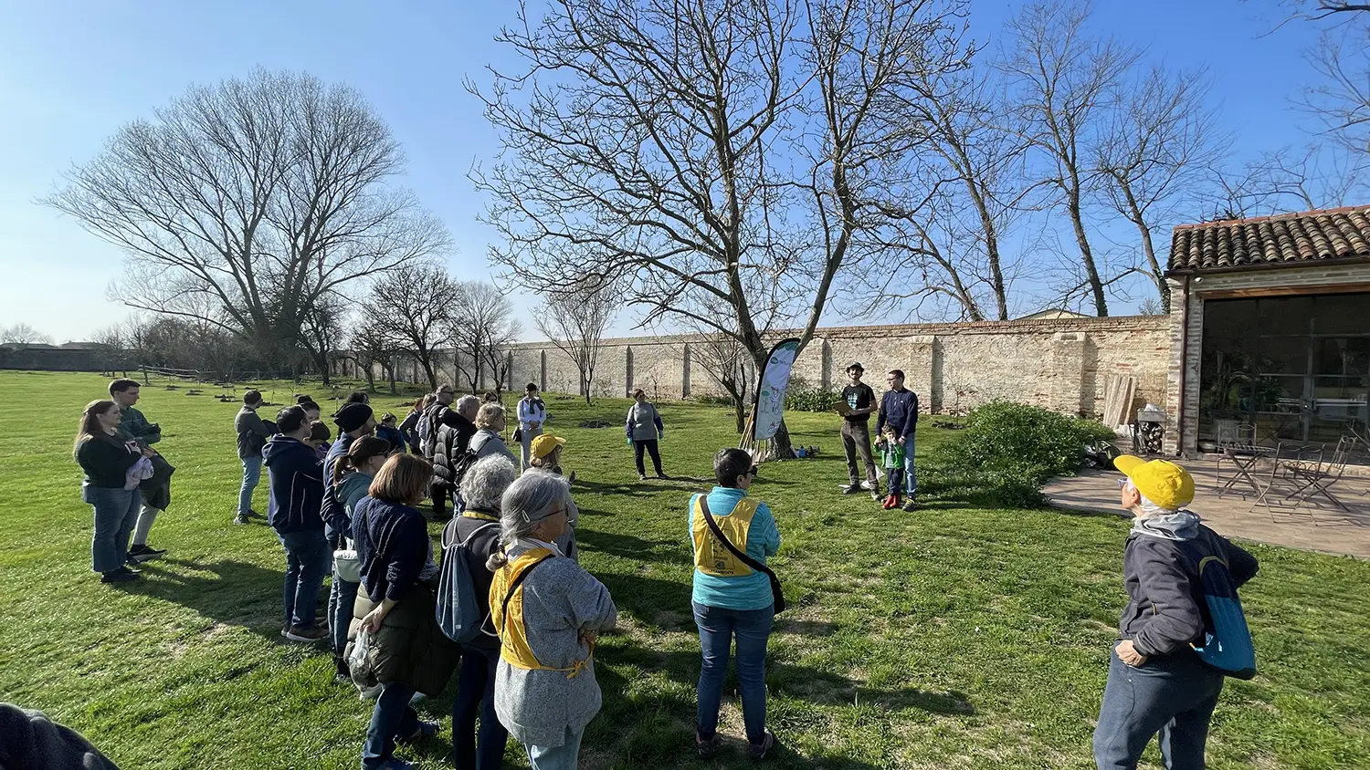 Impianto di alberi a Villa Roberti