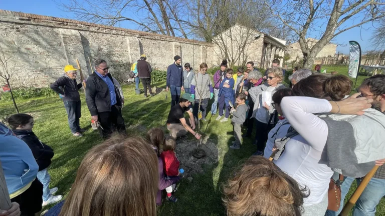 Impianto di alberi a Villa Roberti