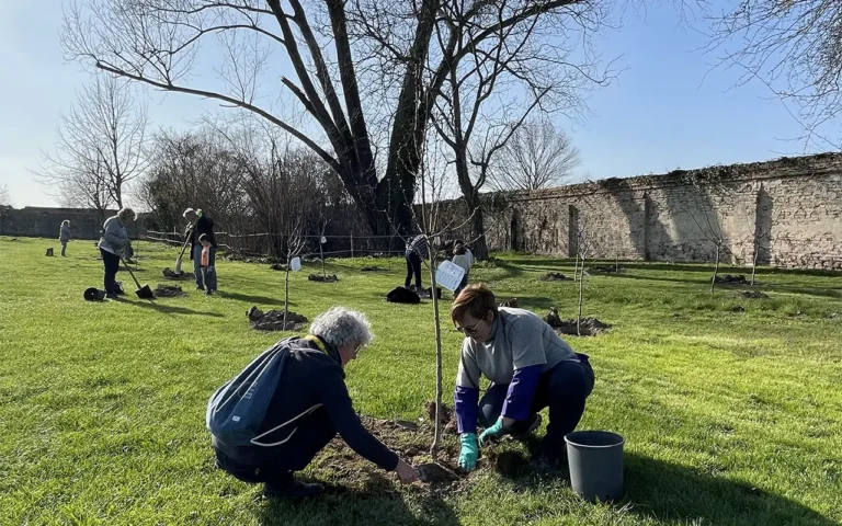 Impianto di alberi a Villa Roberti