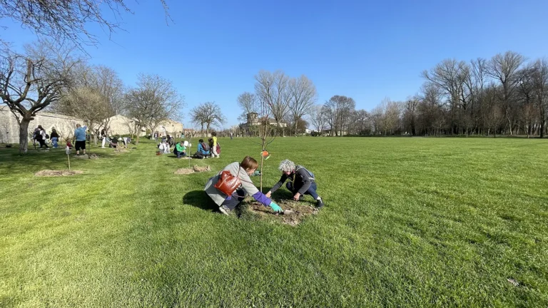 Impianto di alberi a Villa Roberti