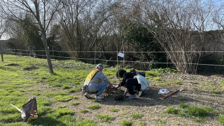 Impianto di alberi a Villa Roberti