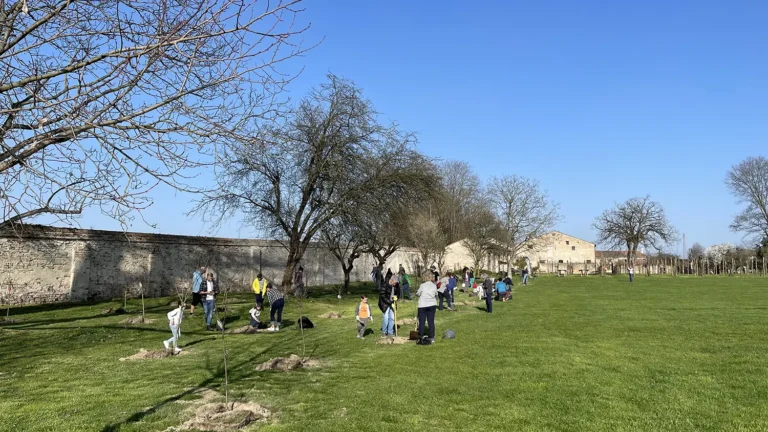 Impianto di alberi a Villa Roberti