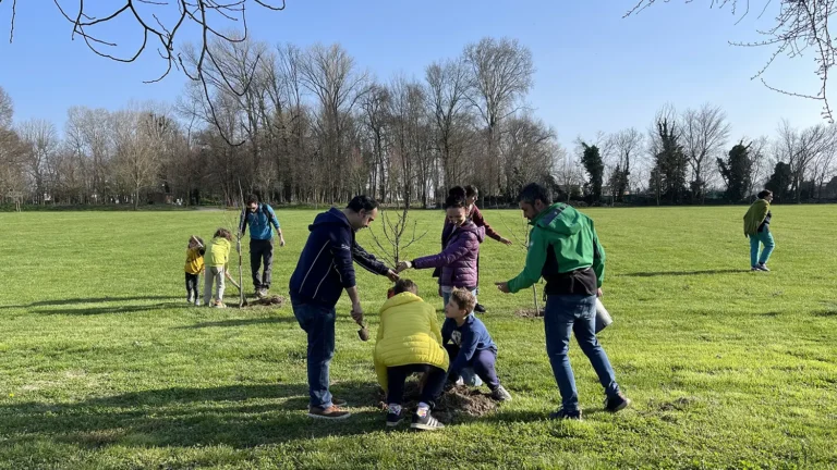 Impianto di alberi a Villa Roberti