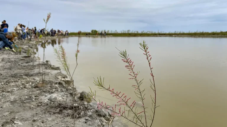 1WOWnature_evento Lio Piccolo 11.04.2026-10