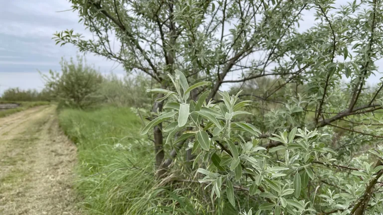 1WOWnature_evento Lio Piccolo 11.04.2026-13