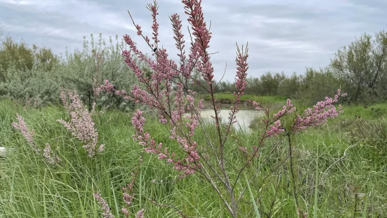 1WOWnature_evento Lio Piccolo 11.04.2026-14