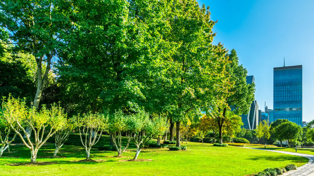 La natura ci aiuta ad affrontare la crisi energetica?
