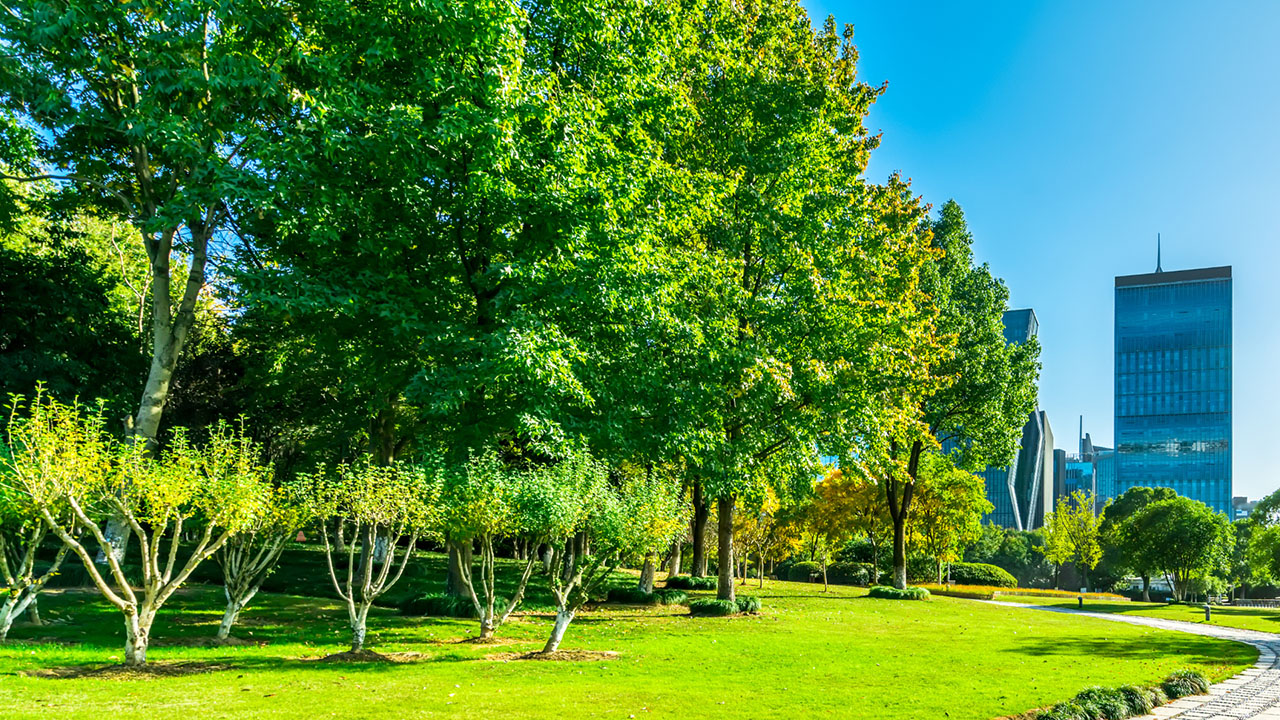 La natura ci aiuta ad affrontare la crisi energetica?