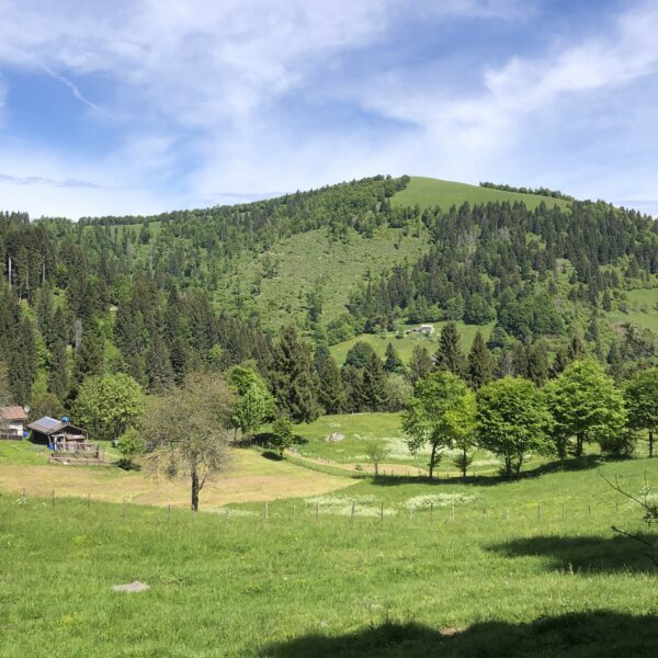 MONTE GRAPPA WOWNATURE