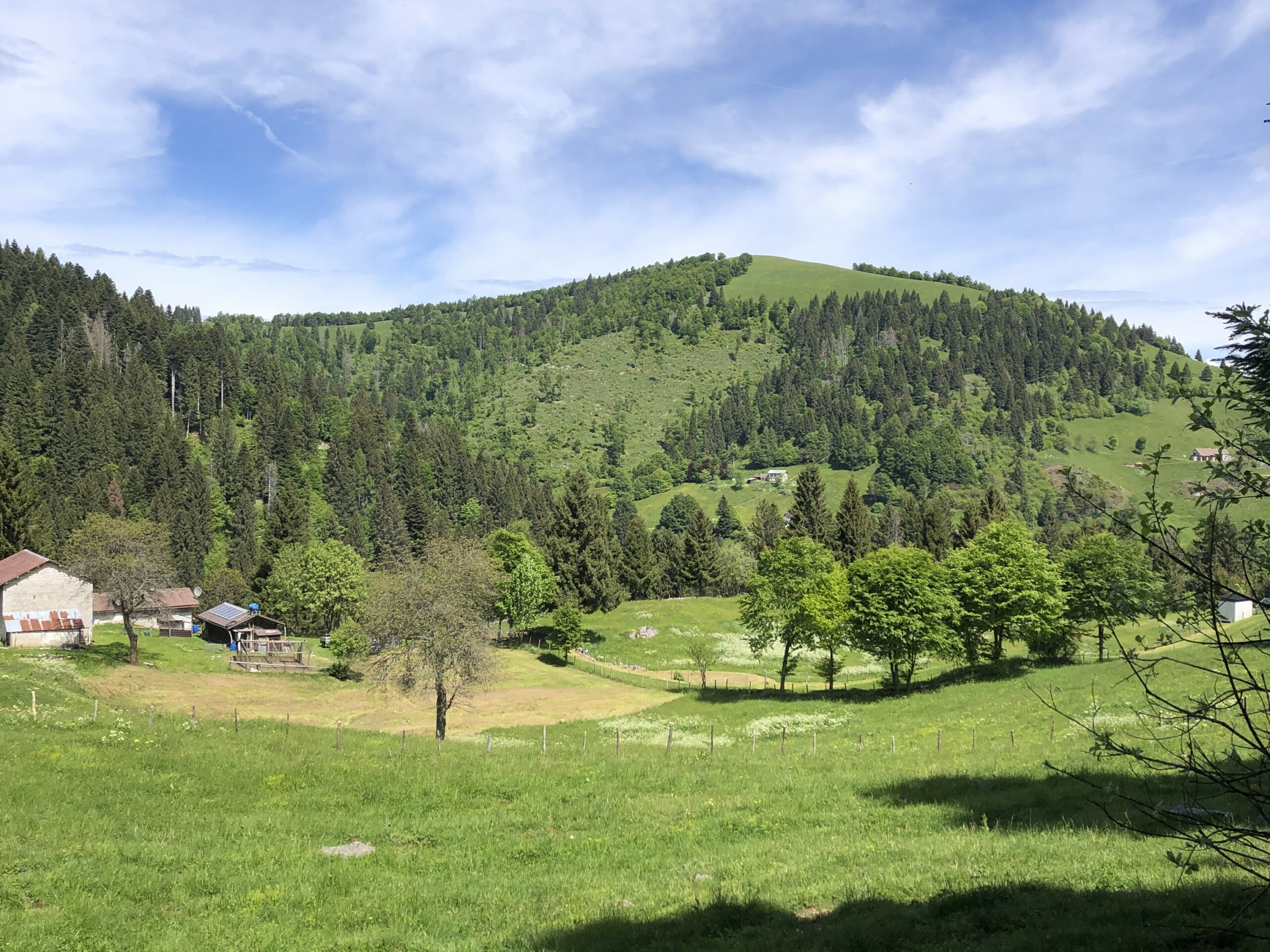 MONTE GRAPPA WOWNATURE