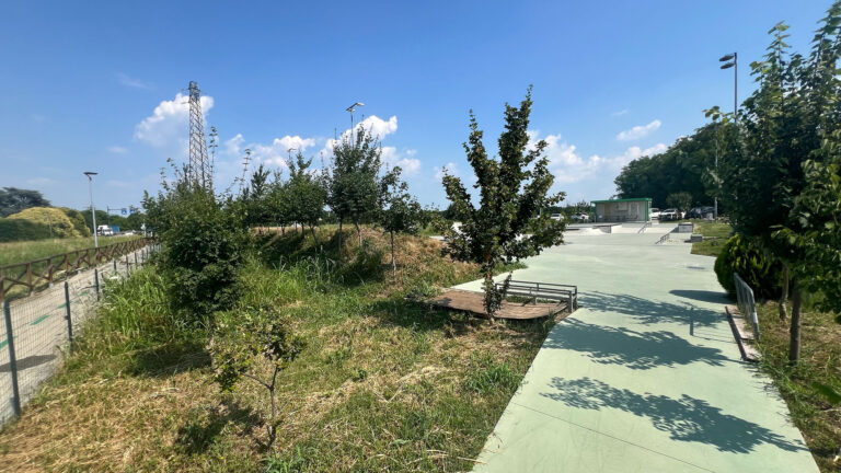 Zucka Skatepark_WOWnature