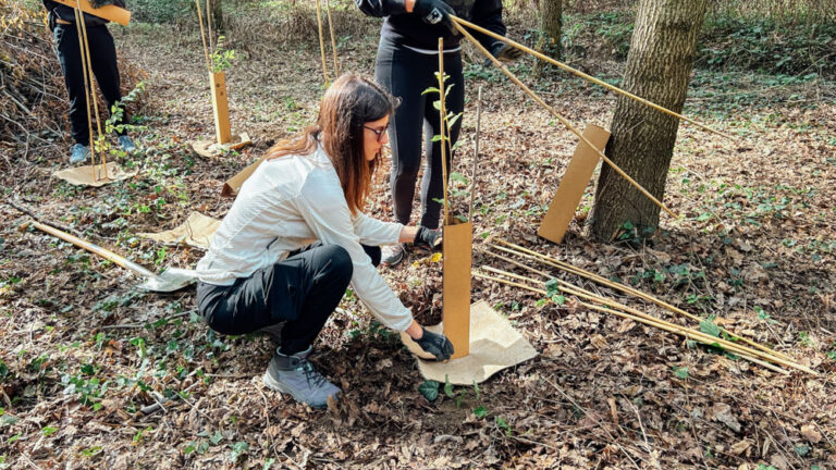 Evento Bosco Limite 10.10.26 – WOWnature-32