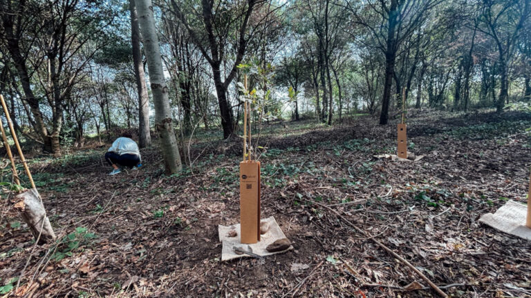 Evento Bosco Limite 10.10.26 – WOWnature-33