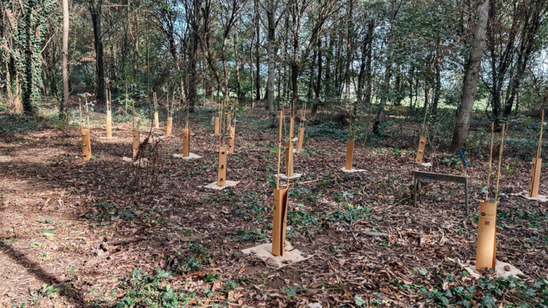 Evento Bosco Limite 10.10.26 – WOWnature-34