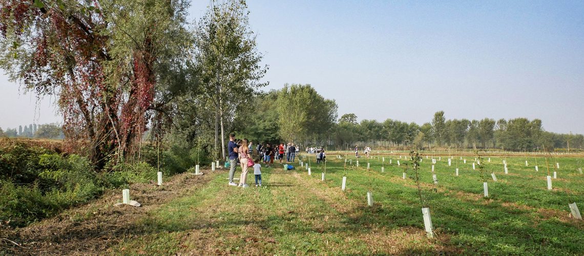 Tree planting event at Torbiere del Sebino, October 2023