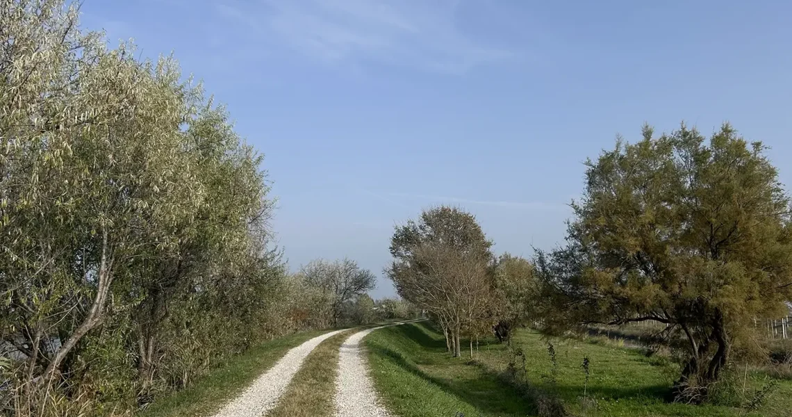 41WOWnature_evento Lio Piccolo 15.11.2025