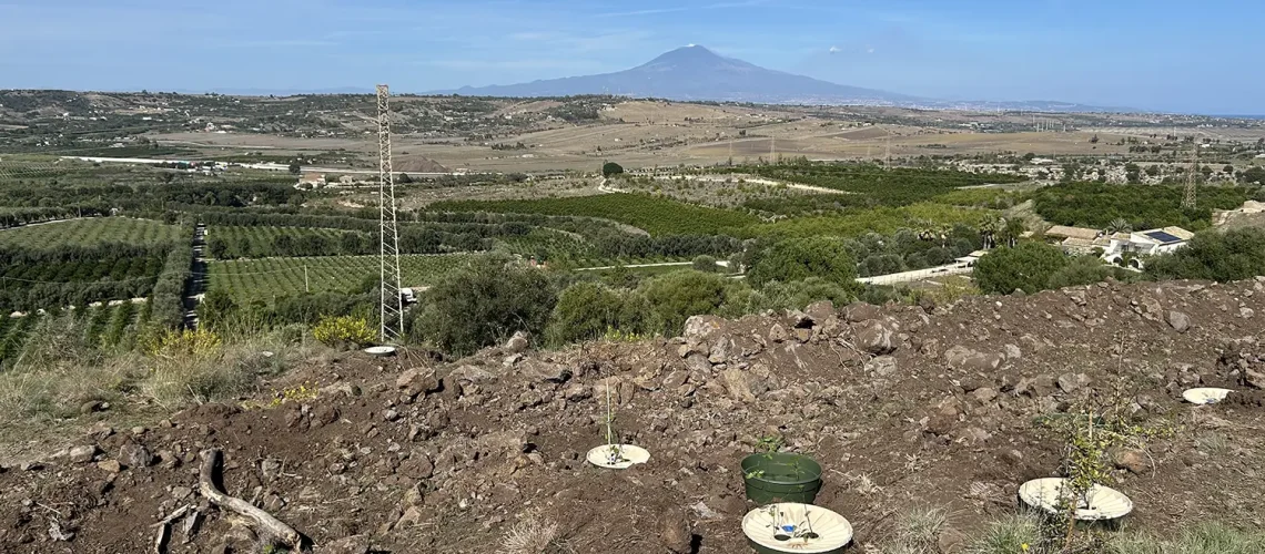 Evento a Bosco San Lio, ottobre 2025