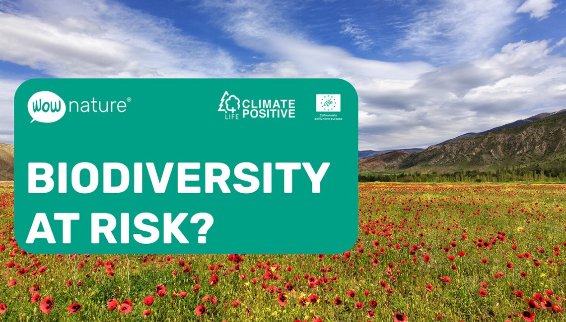Biodiversity at risk?_EN Biodiversity at risk?