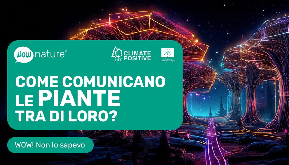 Come comunicano le piante tra di loro?