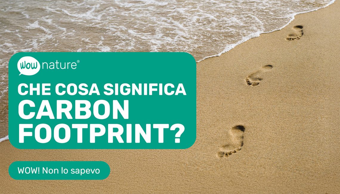 Cosa significa Carbon Footprint Cosa significa Carbon Footprint