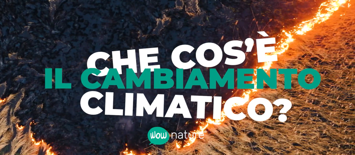 Cos'è il cambiamento climatico immagine di anteprima dell'articolo