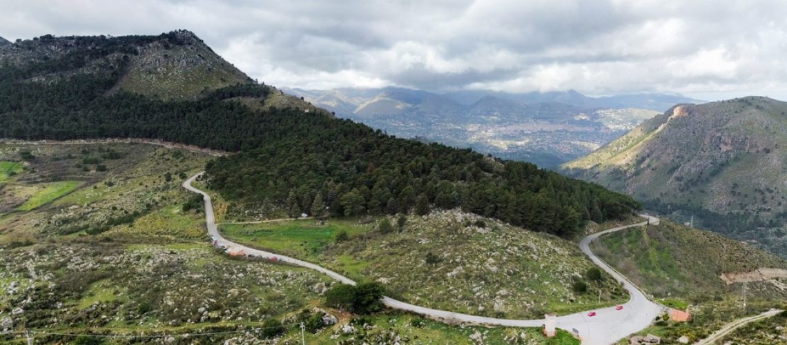 Aggiornamenti da Bosco dei Sette Cieli