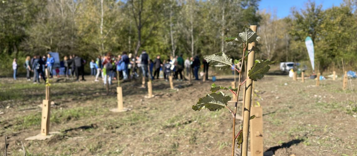 Evento alberi Oasi di Crosara WOWnature24